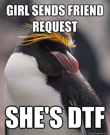 Girl Sends Friend Request She's DTF  Socially Overconfident Penguin
