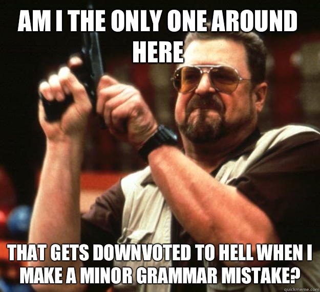 Am I the only one around here That gets downvoted to hell when I make a minor grammar mistake?  Walter