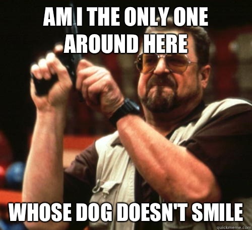 Am i the only one around here Whose dog doesn't smile  Am I The Only One Around Here