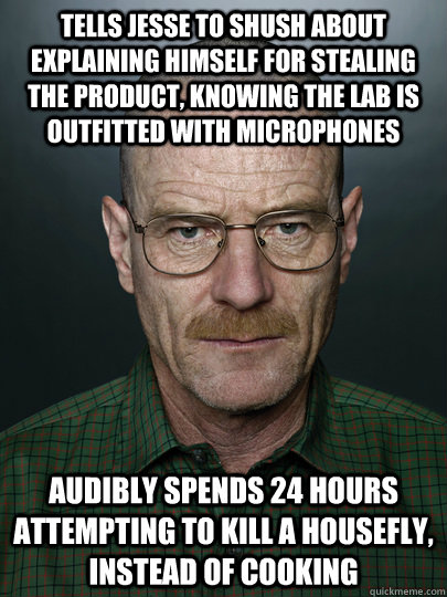 Tells Jesse to shush about explaining himself for stealing the product, knowing the lab is outfitted with microphones Audibly spends 24 hours attempting to kill a housefly, instead of cooking  - Tells Jesse to shush about explaining himself for stealing the product, knowing the lab is outfitted with microphones Audibly spends 24 hours attempting to kill a housefly, instead of cooking   Advice Walter White