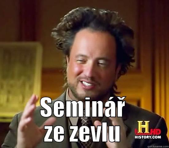  SEMINÁŘ ZE ZEVLU Ancient Aliens