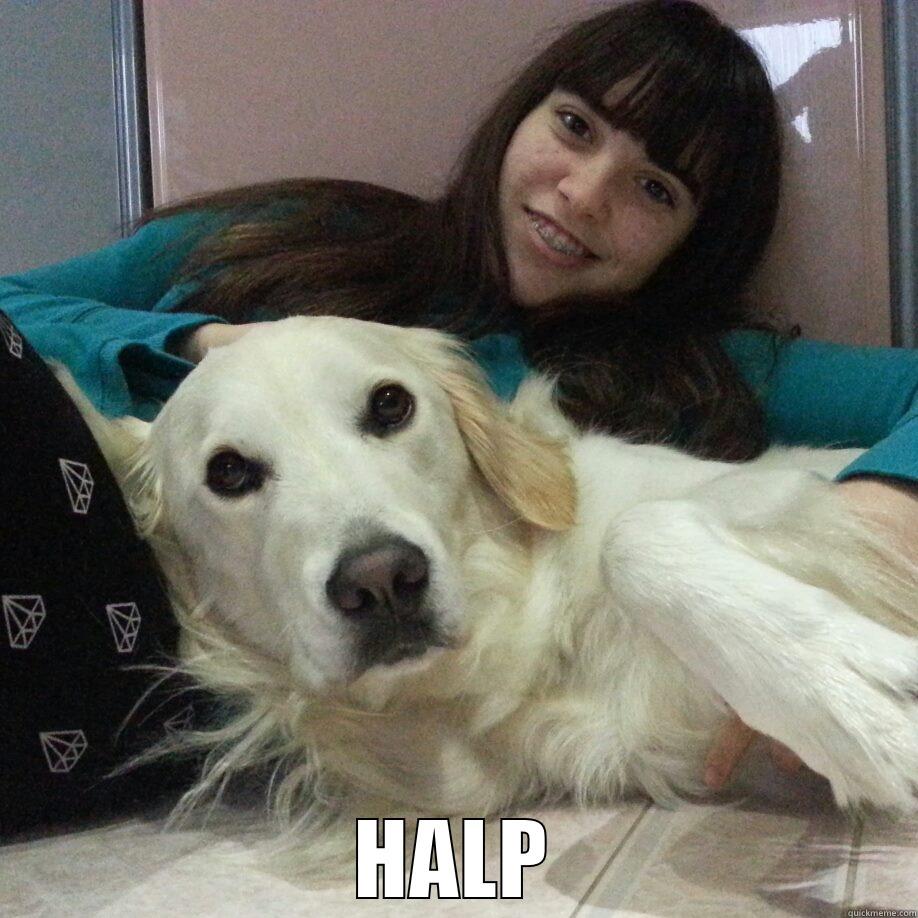  HALP Misc