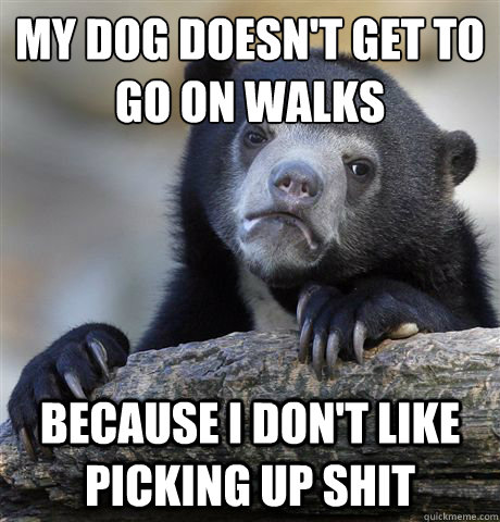 My dog doesn't get to go on walks Because I don't like picking up shit  Confession Bear