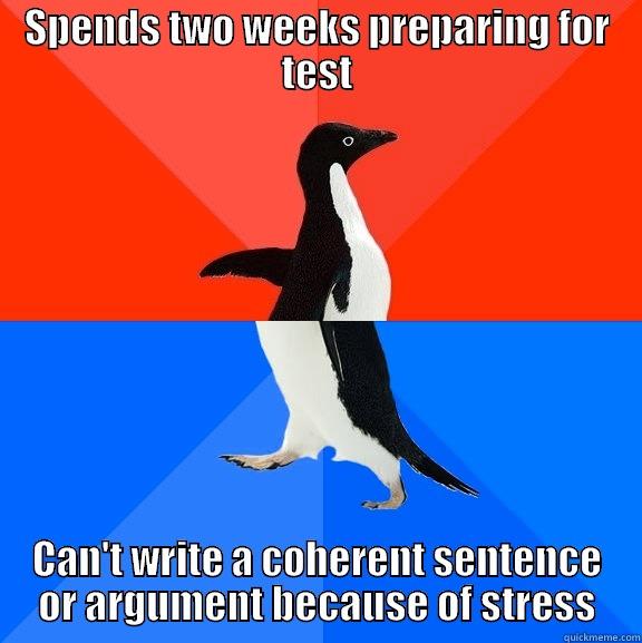SPENDS TWO WEEKS PREPARING FOR TEST CAN'T WRITE A COHERENT SENTENCE OR ARGUMENT BECAUSE OF STRESS Socially Awesome Awkward Penguin
