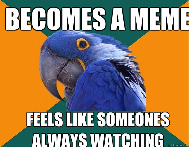Becomes a meme Feels like someones always watching  Paranoid Parrot