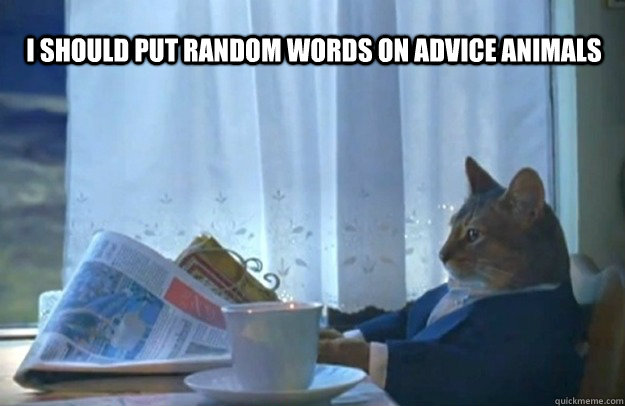 I should put random words on advice animals  Sophisticated Cat