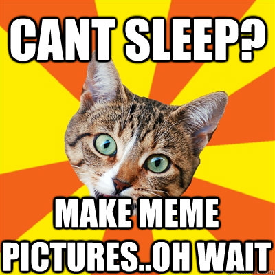 cant sleep? make meme pictures..oh wait  Bad Advice Cat