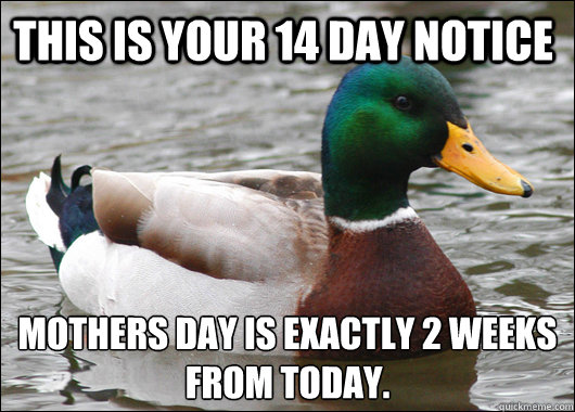 This is your 14 day notice Mothers Day is exactly 2 weeks from today. - This is your 14 day notice Mothers Day is exactly 2 weeks from today.  Actual Advice Mallard