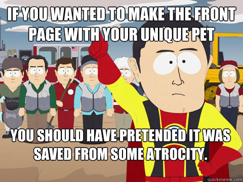 if you wanted to make the front page with your unique pet you should have pretended it was saved from some atrocity.   Captain Hindsight