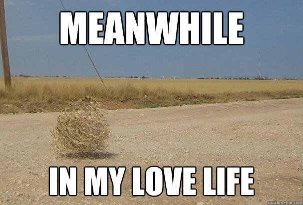 Meanwhile  In my love life - Meanwhile  In my love life  Dry love life
