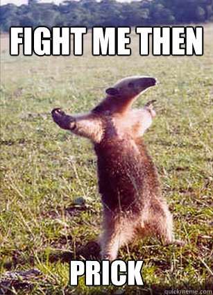 fight me then Prick  Defiace Anteater