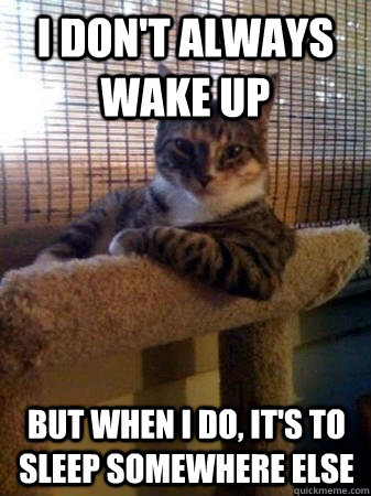 I don't always wake up but when I do, it's to sleep somewhere else  The Most Interesting Cat in the World