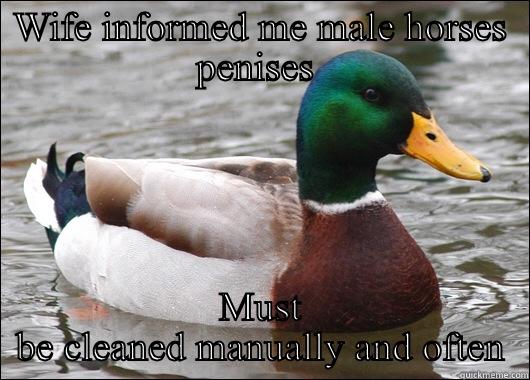WIFE INFORMED ME MALE HORSES PENISES  MUST BE CLEANED MANUALLY AND OFTEN Actual Advice Mallard