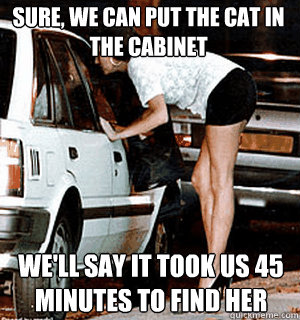 Sure, we can put the cat in the cabinet We'll say it took us 45 minutes to find her  Karma Whore