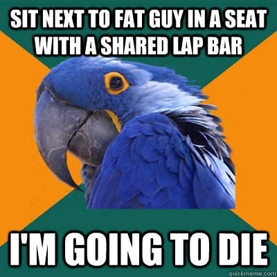 Sit next to fat guy in a seat with a shared lap bar I'm going to die  Paranoid Parrot