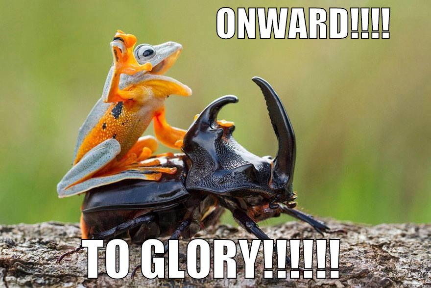                                 ONWARD!!!!       TO GLORY!!!!!! Misc
