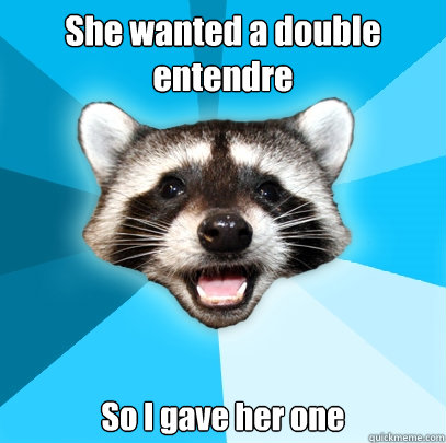 She wanted a double entendre So I gave her one  Lame Pun Coon