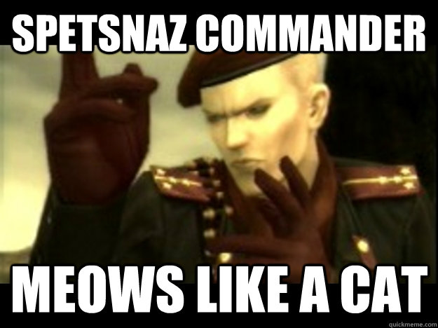 SPETSNAZ COMMANDER MEOWS LIKE A CAT  