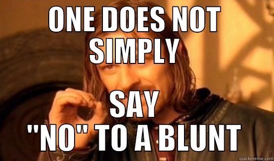 ONE DOES NOT SIMPLY SAY 