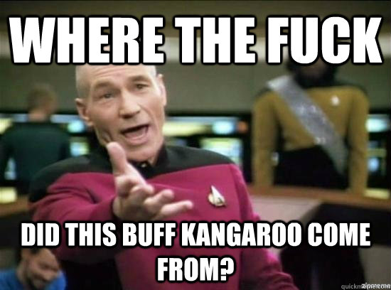 Where the fuck did this buff kangaroo come from?  Annoyed Picard HD