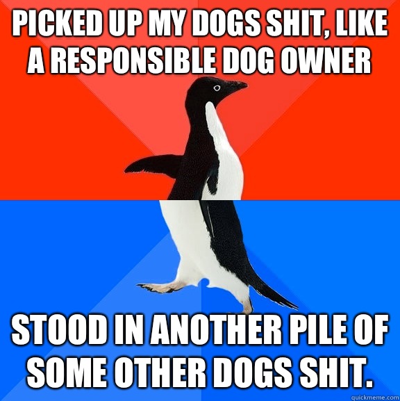 Picked up my dogs shit, like a responsible dog owner Stood in another pile of some other dogs shit.   Socially Awesome Awkward Penguin