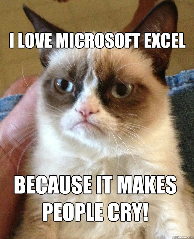 I LOVE MICROSOFT EXCEL BECAUSE IT MAKES PEOPLE CRY! - I LOVE MICROSOFT EXCEL BECAUSE IT MAKES PEOPLE CRY!  Misc