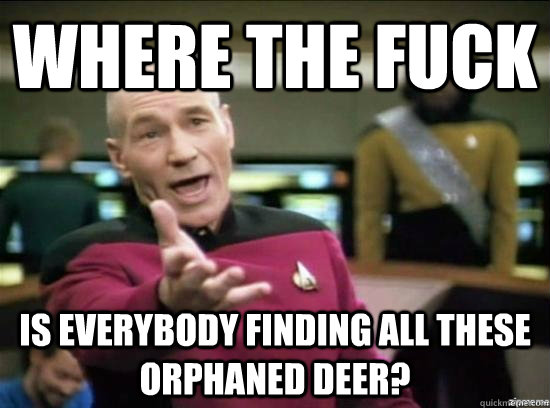 Where the fuck is everybody finding all these orphaned deer? - Where the fuck is everybody finding all these orphaned deer?  Annoyed Picard HD