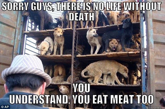 SORRY GUYS, THERE IS NO LIFE WITHOUT DEATH YOU UNDERSTAND, YOU EAT MEAT TOO Misc