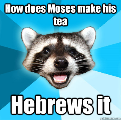 How does Moses make his tea Hebrews it  Lame Pun Coon