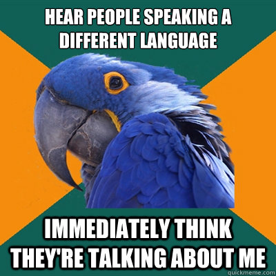 Hear people speaking a different language immediately think they're talking about me  Paranoid Parrot