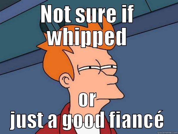 NOT SURE IF WHIPPED OR JUST A GOOD FIANCÉ Futurama Fry