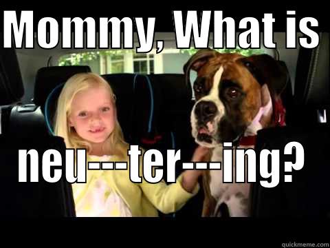 MOMMY, WHAT IS  NEU---TER---ING? Misc