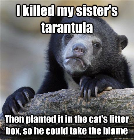 I killed my sister's tarantula Then planted it in the cat's litter box, so he could take the blame  Confession Bear
