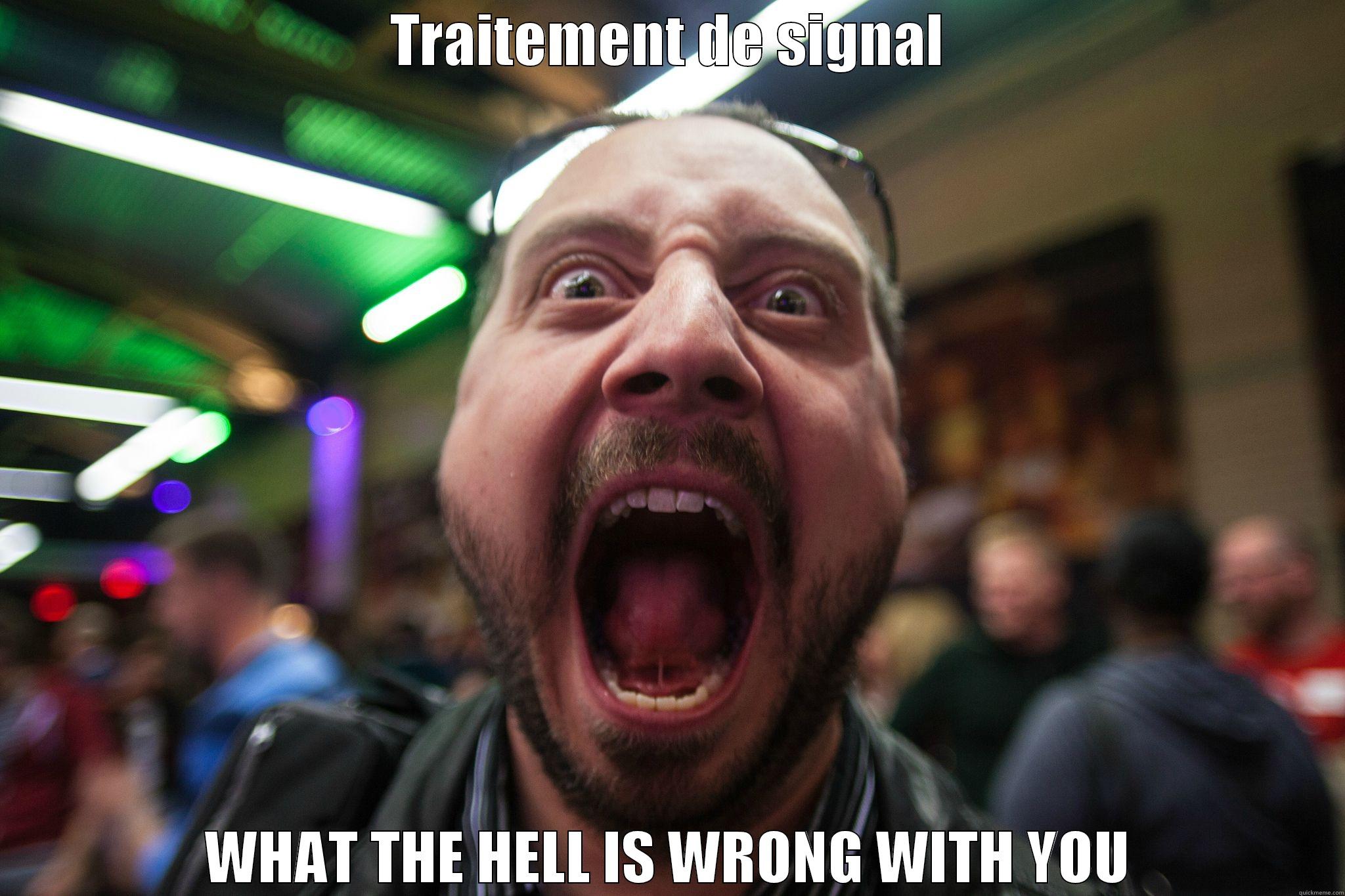 TRAITEMENT DE SIGNAL WHAT THE HELL IS WRONG WITH YOU Misc