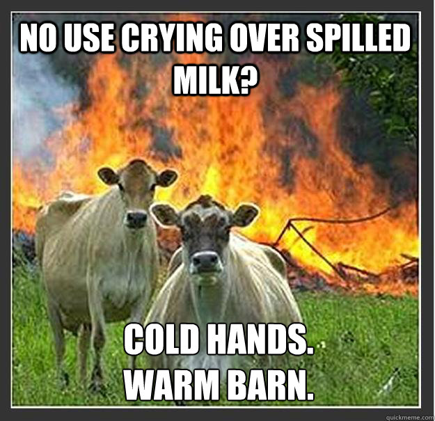 no use crying over spilled milk? Cold Hands. 
Warm Barn.  Evil cows