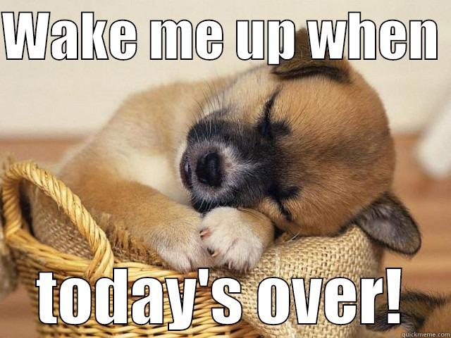 WAKE ME UP WHEN  TODAY'S OVER! Misc