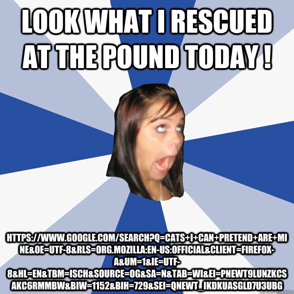 Look what i rescued at the pound today ! https://www.google.com/search?q=cats+i+can+pretend+are+mine&oe=utf-8&rls=org.mozilla:en-US:official&client=firefox-a&um=1&ie=UTF-8&hl=en&tbm=isch&source=og&sa=N&tab=wi&ei=PNEwT9LUNZKCsAKC6rmMBw&biw=1152&bih=729&sei  Annoying Facebook Girl