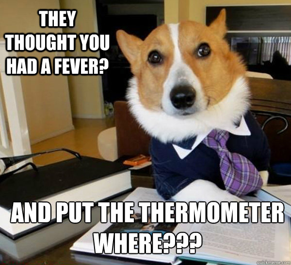 They thought you had a Fever? And Put the Thermometer Where???  Lawyer Dog
