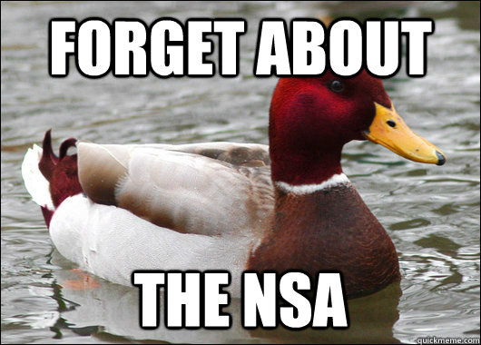 forget about the nsa  Malicious Advice Mallard