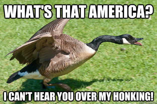 WHat's that America? I can't hear you over my honking!  