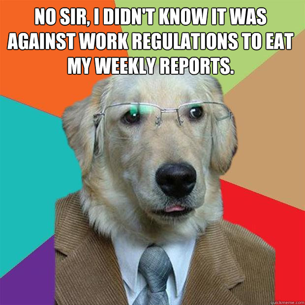 No sir, I didn't know it was against work regulations to eat my weekly reports.  - No sir, I didn't know it was against work regulations to eat my weekly reports.   Business Dog