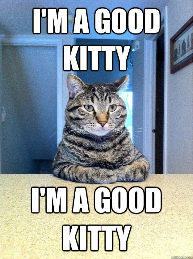 I'm a good kitty I'm a good kitty  Chris Hansen Cat