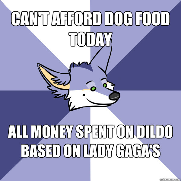 can't afford dog food today all money spent on dildo based on Lady gaga