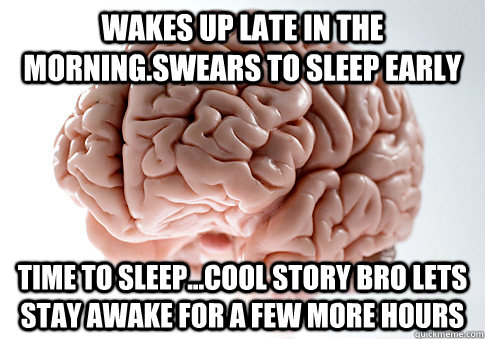 wakes up late in the morning.swears to sleep early TIME to sleep...cool story bro lets stay awake for a few more hours  Scumbag Brain