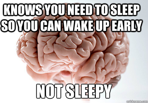 Not sleepy Knows you need to sleep so you can wake up early  Scumbag Brain