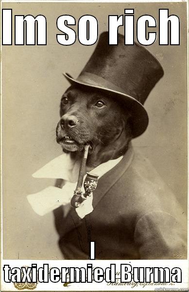 Old Bunny Dog - IM SO RICH  I TAXIDERMIED BURMA Old Money Dog