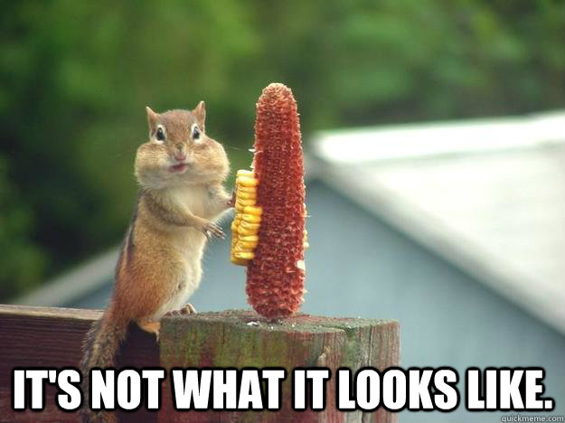  It's not what it looks like. -  It's not what it looks like.  Misc