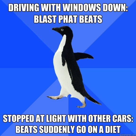 driving with windows down: blast phat beats stopped at light with other cars: beats suddenly go on a diet  Socially Awkward Penguin