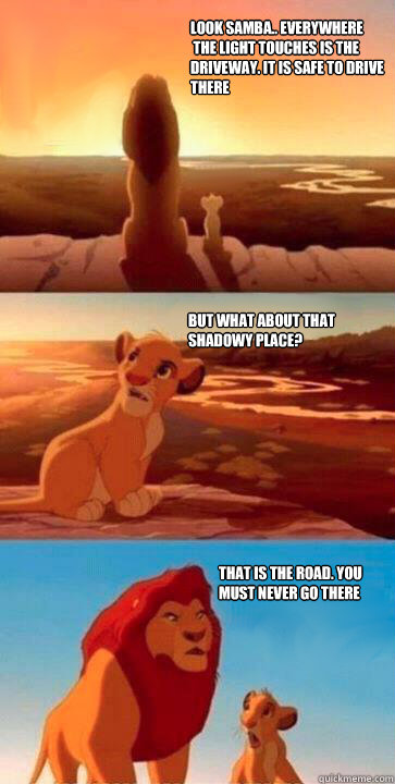 Look samba.. everywhere
 the light touches is the 
driveway. It is safe to drive 
there  But what about that shadowy place? That is the road. You 
must never go there  simba mufasa meme