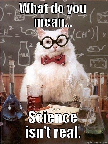 WHAT DO YOU MEAN... SCIENCE ISN'T REAL. Chemistry Cat